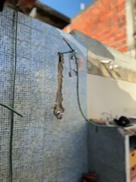 Leo bunny hot online show from 02/03/26, 08:58