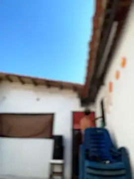 Leo bunny hot online show from 02/06/26, 07:21