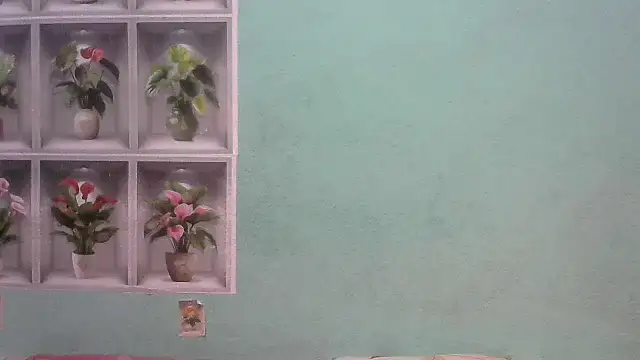 nanhi munni online show from 02/19/26, 01:46