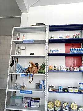 Megan jennerr online show from 09/28/25, 02:35