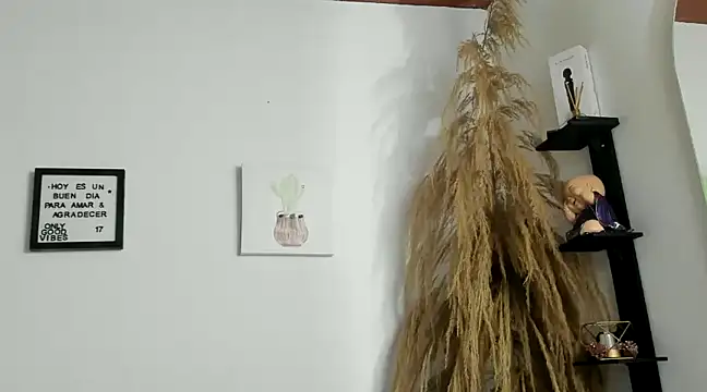 Pamelabru online show from 01/14/25, 11:37