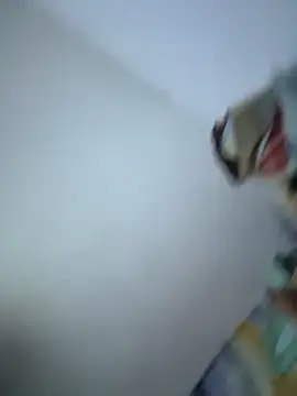 SweetBonniie online show from 11/03/25, 12:05