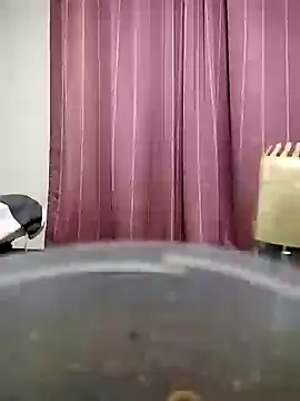 majak online show from 12/19/24, 11:29