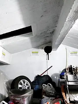 Xxxasrty online show from 11/28/25, 01:06