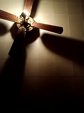 RobStrokes215 online show from 12/18/24, 07:26