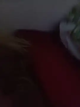 NatashaDormat online show from 11/26/25, 02:11