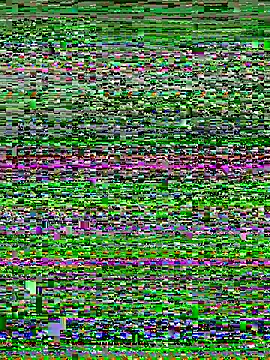 Snapshot of Curveysinaa chatting on 11/04/25, 05:44 Curveysinaa online show from 11/04/25, 05:44