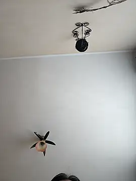 vulpe8400 online show from 04/18/26, 09:00