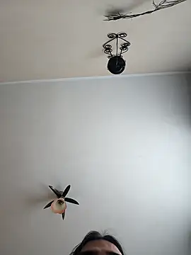 vulpe8400 online show from 04/19/26, 11:11