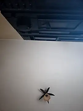 vulpe8400 online show from 04/08/26, 10:11