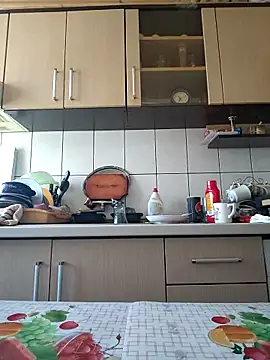 vulpe8400 online show from 02/25/25, 08:36