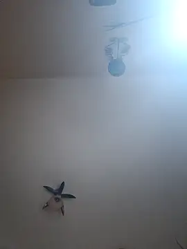 vulpe8400 online show from 04/07/26, 10:33