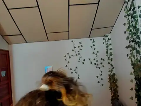 fulfill fantasies1 online show from 02/17/26, 12:57