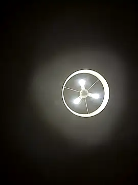 leloupblanc5304 online show from 02/26/25, 07:42