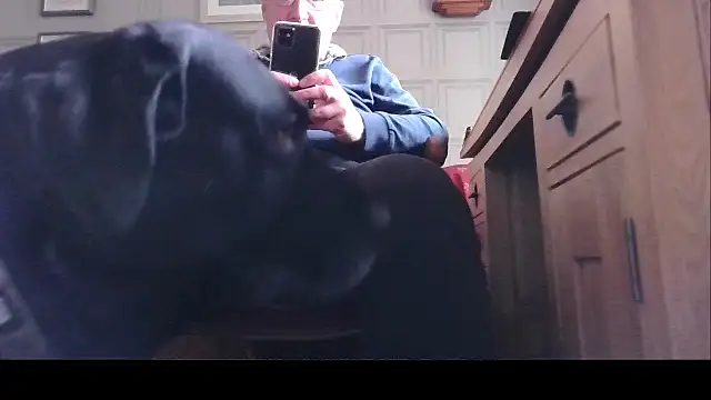 Adamdaddybear online show from 03/21/25, 02:51