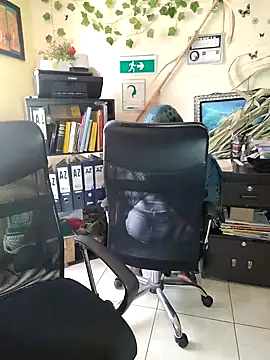 NAJWA-ARAB online show from 01/15/25, 02:24