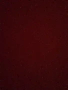 rosaditapussy online show from 09/09/25, 03:16