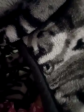 Snapshot of 7inchwala8797 chatting on 11/04/25, 01:37 7inchwala8797 online show from 11/04/25, 01:37