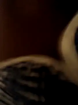 Crazybitchtheanalgoddess4 online show from 03/20/26, 07:04