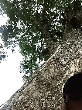 Snapshot of arafat_mia chatting on 04/12/26, 02:59 arafat mia online show from 04/12/26, 02:59