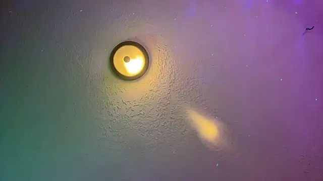 Dani Dragon69 online show from 02/14/25, 08:42