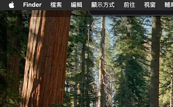 ex199212 online show from 03/08/25, 01:50