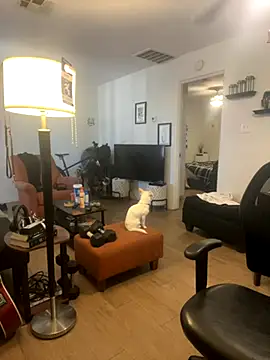 PEGATIVET online show from 09/29/25, 09:20