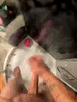 Snapshot of lescro95_ chatting on 10/04/25, 05:47 lescro95  online show from 10/04/25, 05:47