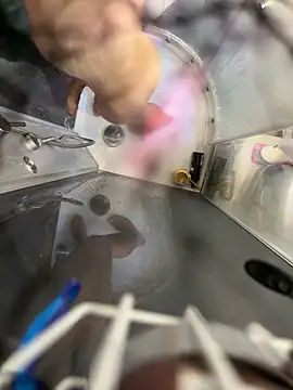 Snapshot of lescro95_ chatting on 04/06/26, 02:29 lescro95 online show from 04/06/26, 02:29