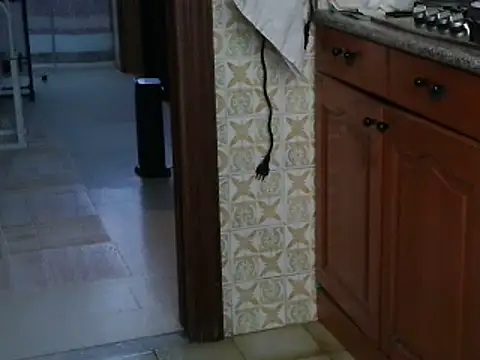 VeneRed online show from 10/13/25, 08:05