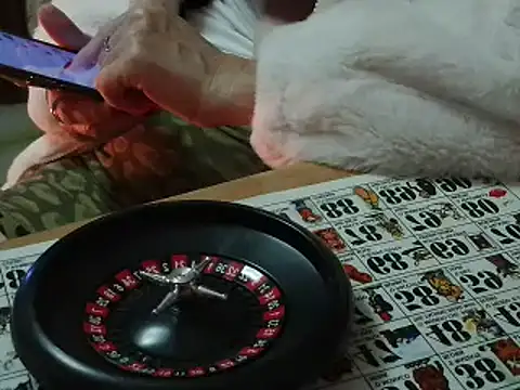 VeneRed online show from 11/12/25, 07:18