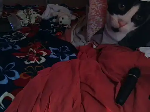 Snapshot of VeneRed chatting on 03/08/26, 06:55 VeneRed online show from 03/08/26, 06:55