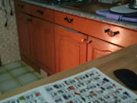 VeneRed online show from 11/17/25, 06:17