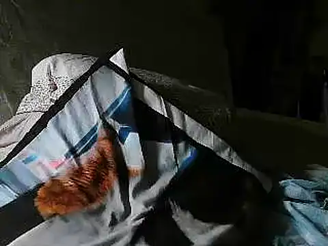 Snapshot of VeneRed chatting on 07/02/26, 08:26 VeneRed online show from 07/02/26, 08:26