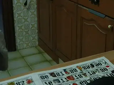 VeneRed online show from 11/16/25, 05:28