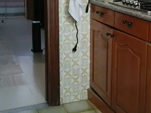 VeneRed online show from 10/14/25, 08:15