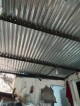 elputoflaco online show from 06/01/26, 02:06
