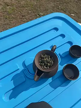 CN-Shanshan online show from 02/01/26, 04:00