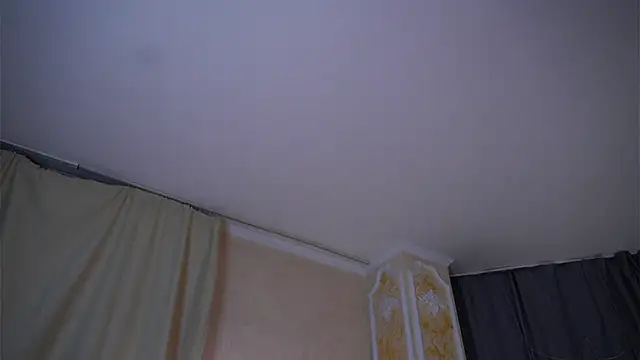 EdlinAlliston online show from 02/02/26, 04:28