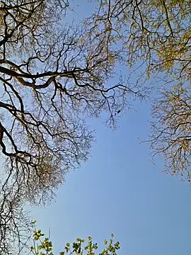 nataliecdlive online show from 04/08/26, 05:47