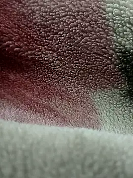 Anamika Kapoor online show from 11/27/25, 06:25