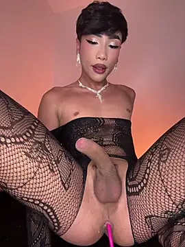 sue   0 online show from 07/14/26, 02:05