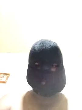 Nogeris20 online show from 11/06/25, 03:16