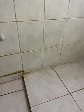 Snapshot of diege72 chatting on 10/27/25, 04:19 diege72 online show from 10/27/25, 04:19