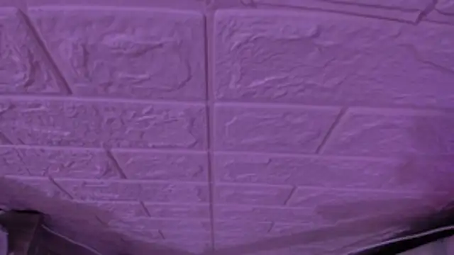 gabyye capprins online show from 11/15/25, 11:53