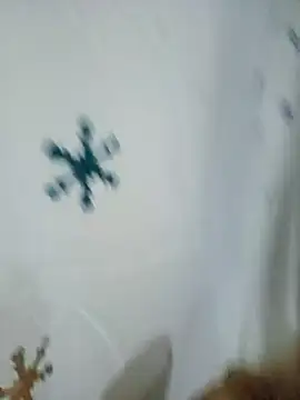 Snapshot of sadnessgyall chatting on 02/04/25, 06:14 sadnessgyall online show from 02/04/25, 06:14