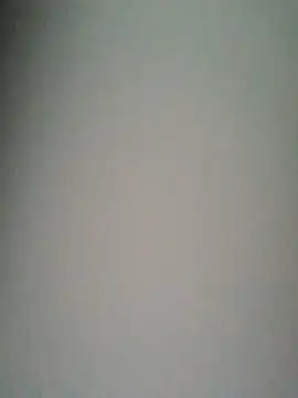 Loggan donnelly online show from 01/07/26, 08:58