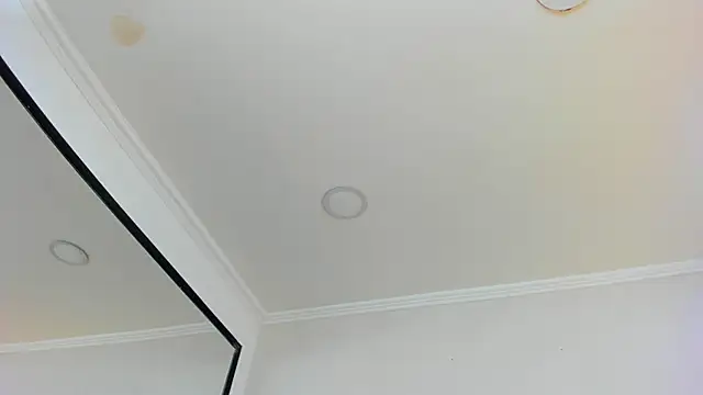 Snapshot of Loggan_donnelly chatting on 03/10/25, 10:55 Loggan donnelly online show from 03/10/25, 10:55