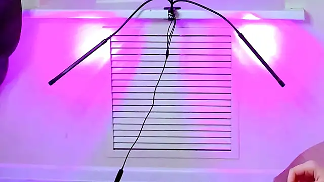 CarolGiggly online show from 11/16/25, 08:41