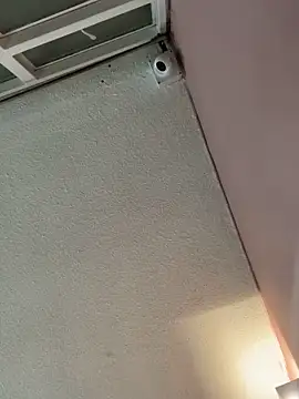 Snapshot of Praga_Pink chatting on 11/30/25, 02:56 Praga Pink online show from 11/30/25, 02:56